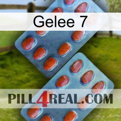 Jelly 7 05